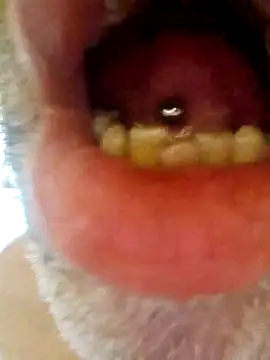 CDY74 online show from 11.28.25