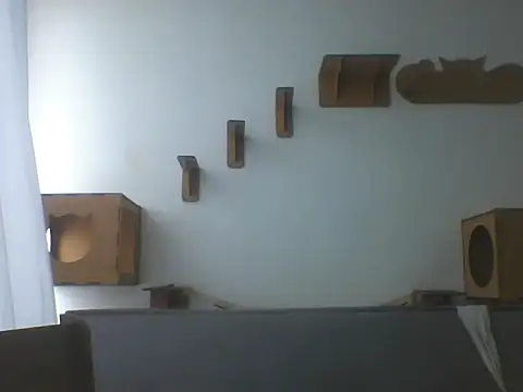 Temp7 online show from 02.21.26