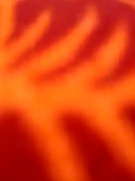 Nandani-758 online show from 04.08.26