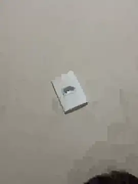 PartiedOmelet online show from 01.09.26