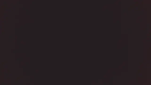 Bellamorgann online show from 12.02.25