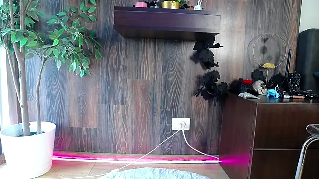 RavenFoxxy online show from 02.12.26