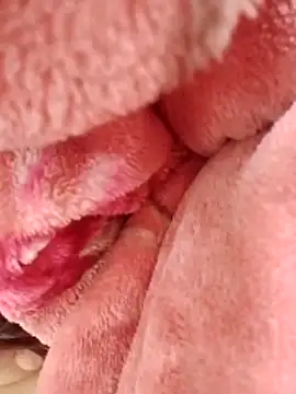 Snapshot of eujaamii chatting on 12.02.25 eujaamii online show from 12.02.25