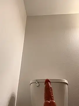 Snapshot of SpunRedneck chatting on 02.28.26 SpunRedneck online show from 02.28.26