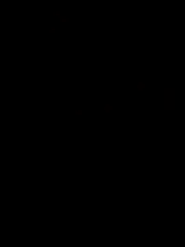 Piazza21 online show from 03.16.26