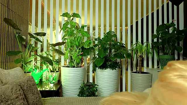 FlowweerGirl online show from 12.15.25