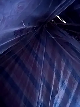 ava-dellght online show from 04.14.26