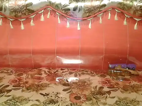 Snapshot of Bristi_03 chatting on 02.19.26 Bristi 03 online show from 02.19.26