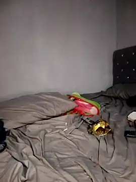 Vaness hot online show from 02.14.26