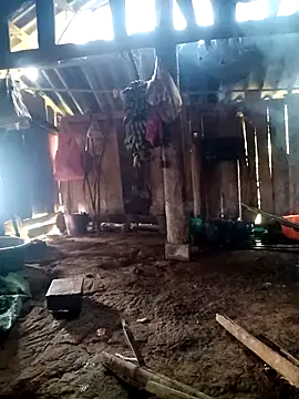 little-effy online show from 03.23.26