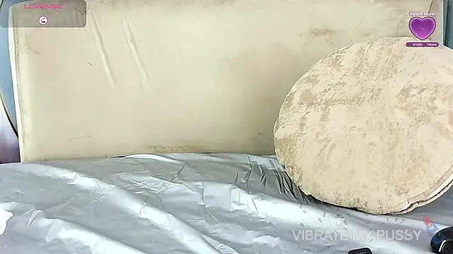 Snapshot of bella_moonlight_cr chatting on 02.19.26 bella moonlight cr online show from 02.19.26