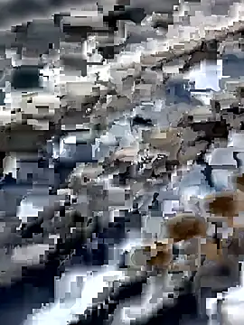 Amaira 69 online show from 04.12.26