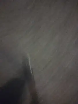 marcoboss online show from 04.16.26