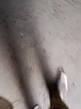 Snapshot of Nick_universal chatting on 02.28.26 Nick universal online show from 02.28.26