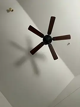 faces818 online show from 03.21.26