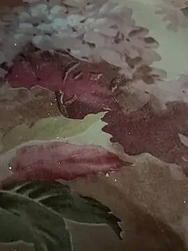 Snapshot of Niteenku chatting on 02.08.26 Niteenku online show from 02.08.26