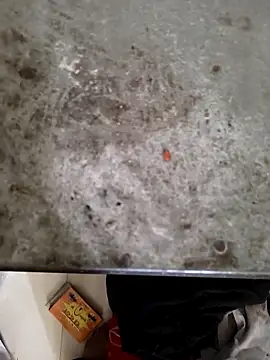 Snapshot of Niteenku chatting on 03.28.26 Niteenku online show from 03.28.26