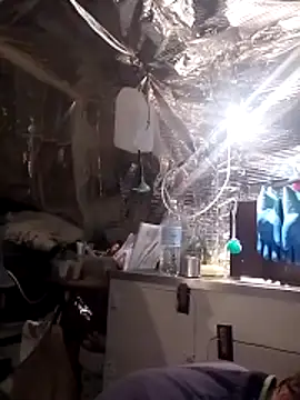 Quebec46 online show from 04.14.26