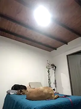 Perfect match19 online show from 12.22.25