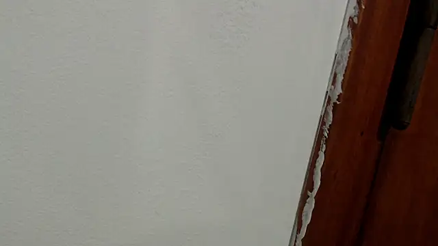 Snapshot of SofiEsteves chatting on 06.29.26 SofiEsteves online show from 06.29.26