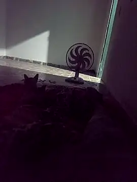 WPS15 online show from 04.15.26