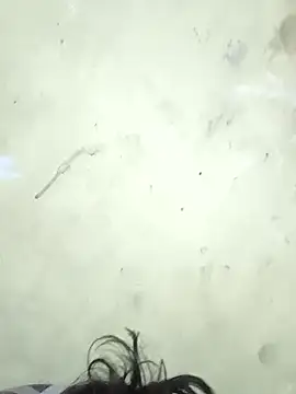 vishalk12346 online show from 01.08.26