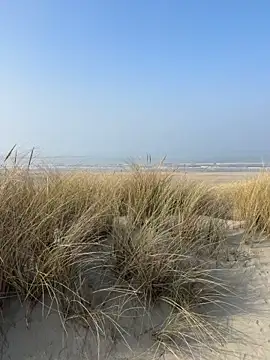 friemeldepiemel online show from 03.08.26