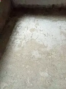 Snapshot of dakota-kis chatting on 02.04.26 dakota-kis online show from 02.04.26