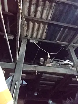 Snapshot of dakota-kis chatting on 03.30.26 dakota-kis online show from 03.30.26