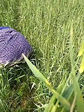 hornycouple20000 online show from 02.01.26