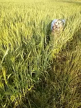 hornycouple20000 online show from 02.21.26