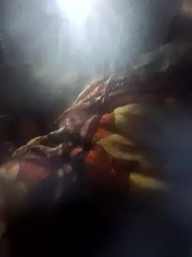 Couples9090 online show from 01.10.26