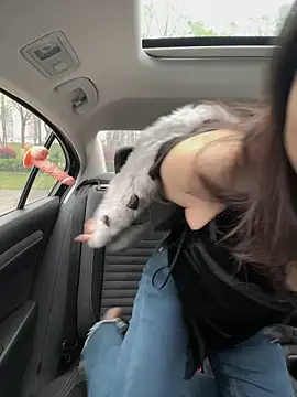 mo-mo-69 online show from 04.03.26