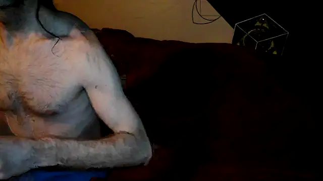 toy2use87 online show from 01.31.26