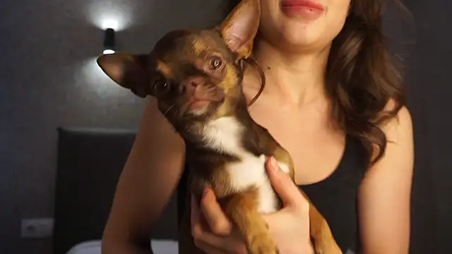 linclars online show from 03.06.26