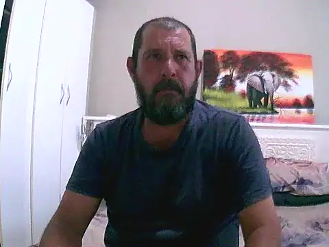 palmview2 online show from 03.01.26