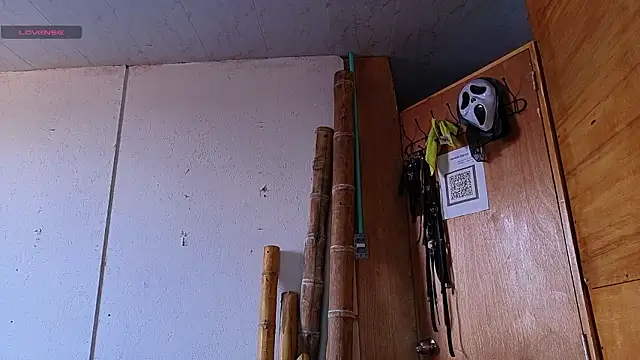 Snapshot of Alice_randyy chatting on 02.12.26 Alice randyy online show from 02.12.26