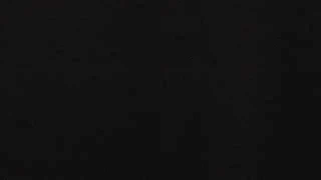 emily velvet   online show from 05.02.26