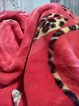 Snapshot of ebrahem45665 chatting on 01.14.26 ebrahem45665 online show from 01.14.26