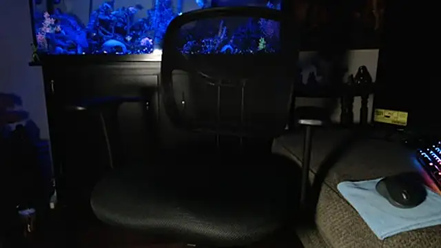 EspanolVato online show from 02.05.26