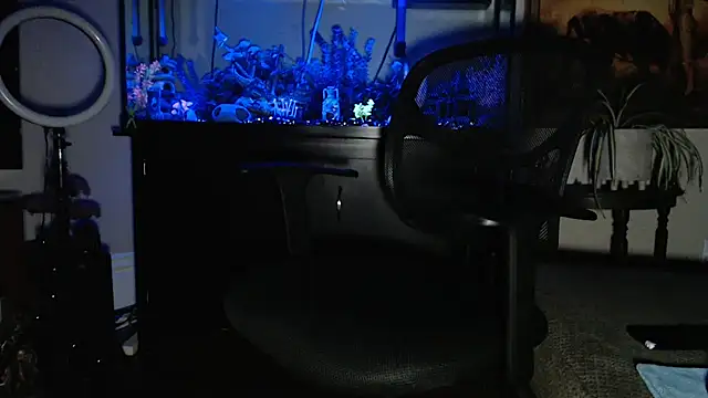 EspanolVato online show from 02.19.26