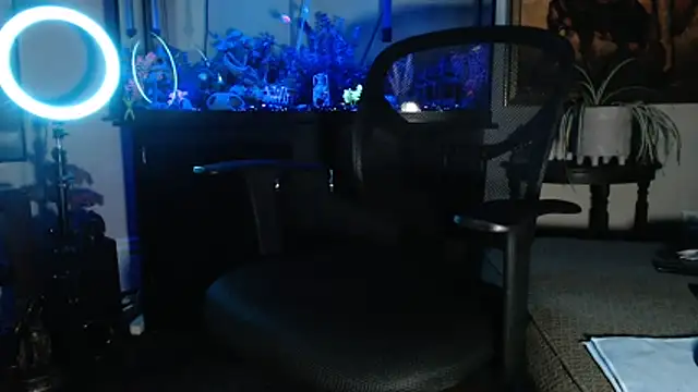 EspanolVato online show from 02.21.26