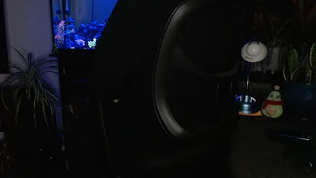 EspanolVato online show from 04.05.26