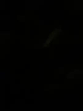 Snapshot of Herr_Snusk chatting on 07.01.26 Herr Snusk online show from 07.01.26