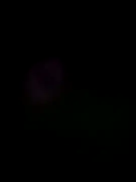 him220 online show from 05.26.26