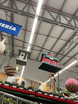 dani bela online show from 03.22.26