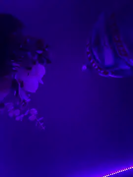 inconito-sex online show from 01.10.26