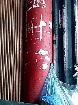 LINSA20 online show from 02.04.26