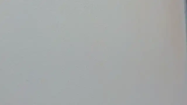 Snapshot of Missy_22_ chatting on 04.15.26 Missy 22 online show from 04.15.26