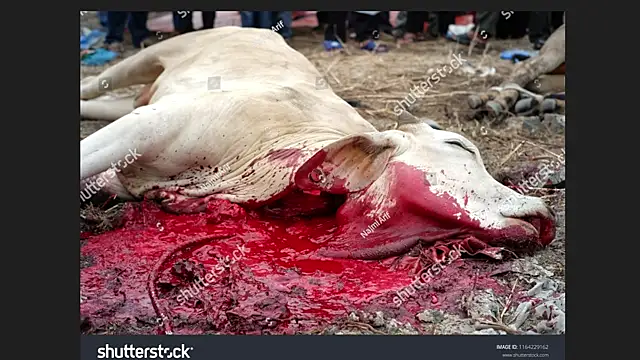 Snapshot of Clima_muse chatting on 04.12.26 Clima muse online show from 04.12.26